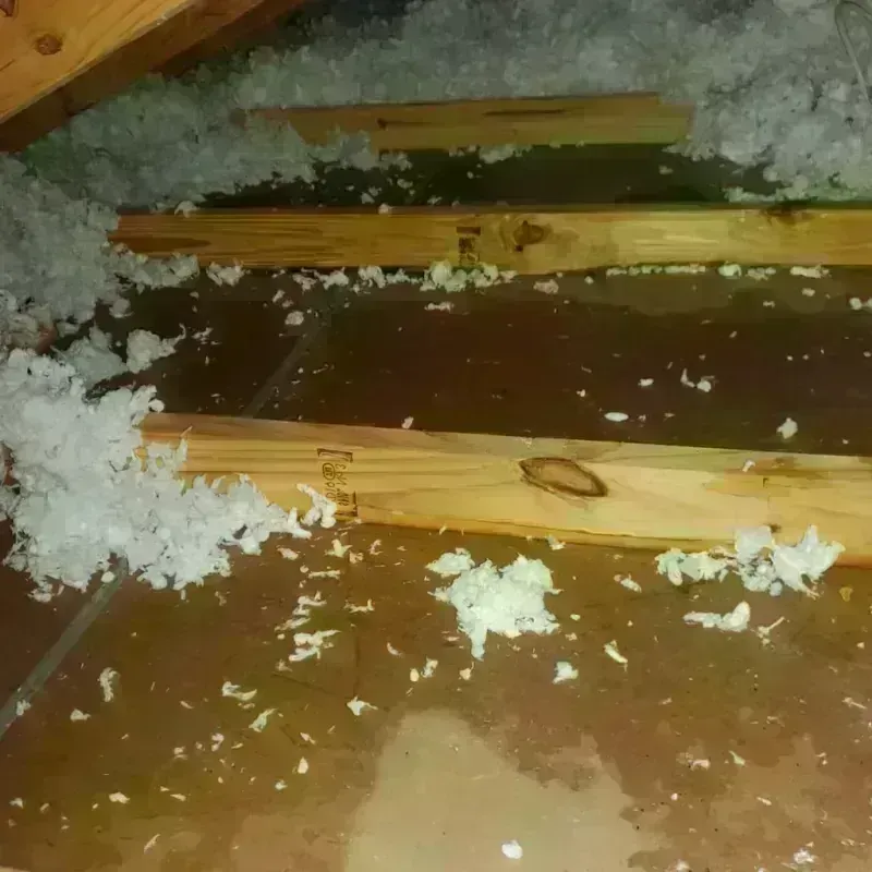 Attic Water Damage in Goodwell, OK